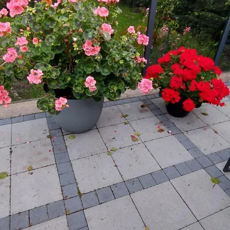 Kastanjegaarden Ansager