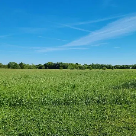 Leilighet Kastanjegaarden *
