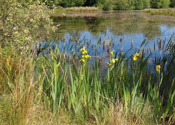 Kastanjegaarden *