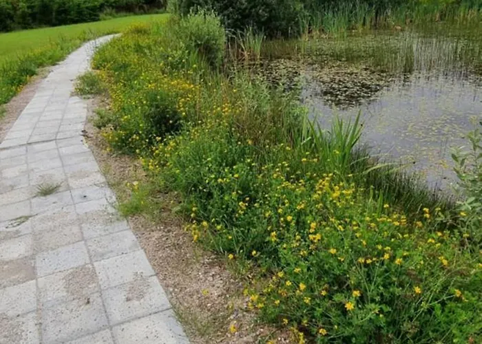 Lejlighed Kastanjegaarden Ansager
