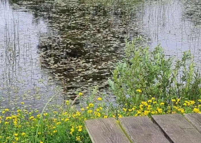 Lejlighed Kastanjegaarden Ansager